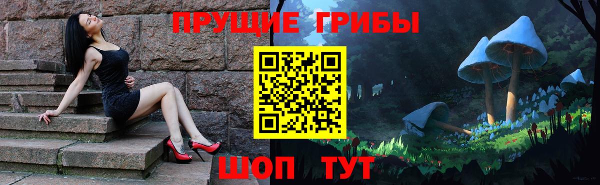 Шали  где найти   Вход с VPN  Галлюциногенные грибы мицелий 